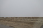 2017-05-07_17-08-02_2017-03-11 11.11.17.jpg