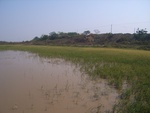 4571RIMG0023.JPG