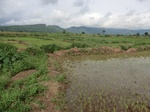 2012-09-07_10-19-59_CIMG6713.JPG