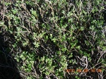 2012-09-27_14-25-53_186.JPG