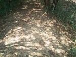 1780224042008(59).JPG