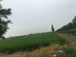 2017-09-10_07-08-40_C1CF773B-D2FC-4D95-899B-7E5EDEF6B058.jpg