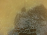 58100CIMG2394.JPG