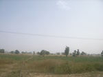 9085RIMG0165.JPG