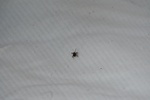 404IMG_3513.JPG