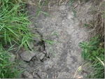 2012-09-12_09-02-01_IA-DL-14-4.jpg
