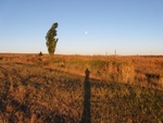 2012-09-28_22-29-18_Columbia Plateau-2.JPG