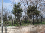 5947DSC05231.JPG