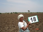 12690018a-irrigated-canal-rice-single-crop.gif