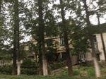 2017-09-10_20-40-23_C8EEDA2A-7ED1-4C0E-A2C1-54C34B359647.jpg