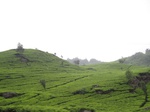 18045IMG_3844.JPG