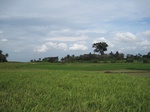 16191IMG_4950.JPG