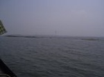 1563R0015231_small.jpg