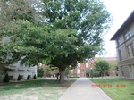 2012-10-02_09-57-34_CIMG6029.JPG