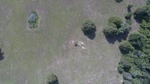 2017-06-12_13-57-39_DJI_0095.jpg