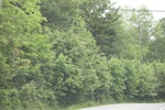 2022-06-11_17-54-46_55444CBA-505E-4334-826B-EF7995750EBA.jpeg
