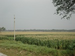 18172DSC08487.JPG