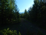 2017-07-05_20-53-24_DSCN2879.JPG