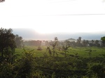 16225IMG_4992.JPG
