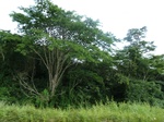 20104P1010955.JPG