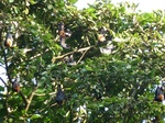 2012-10-17_20-32-21_392.JPG