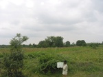 7707gt0119a-cropland-rainfed-supplemental.jpg