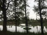 2017-09-10_20-41-46_B0281507-7581-42D2-94F1-F125D6D28105.jpg