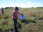 10700gt-120-wetland-moist-seasonal-crops-01.jpg