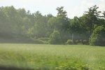 2022-06-11_16-04-22_2E3F80CB-CED3-4D08-A2F5-AFE9829B49C2.jpeg