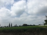 2017-09-12_12-57-52_C18087B1-3707-4566-A484-4F2994C565BB.jpg