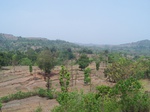500720042008(24).JPG