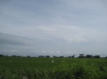 15570IMG_4640.JPG