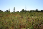 2012-09-23_20-07-27_RI-NW-5_West.JPG