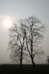 4229IMG_8868.JPG