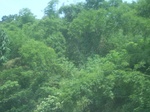 2012-09-08_18-23-28_RIMG0073.JPG