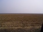 3107 040.jpg