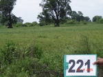 71330221c-rainfed-agriculture-mixed-crop-soyabean-gram.jpg