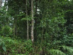 15234IMG_4056.JPG