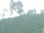 2012-09-08_19-26-14_RIMG0006.JPG
