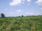 8852nigeria 059.jpg