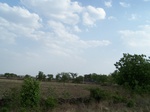 490302052008(95).JPG