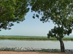 19408P1010255.JPG