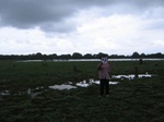 821809-lakebed-grassesb.jpg