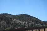 2022-01-21_16-12-42_4E8A4496.JPG