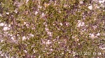 2012-09-27_14-25-46_282.JPG