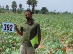 62350392b-rainfed-agriculture-castrol.jpg