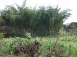 5524100_0894.JPG