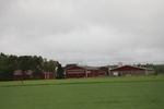 2018-04-14_14-18-49_2017-06-12 06.43.30.jpg