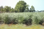 2022-06-11_18-08-23_E7169E38-5445-49C7-910E-F632555DAB5B.jpeg