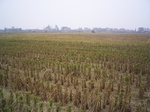 43232007.10.31.st2.JPG